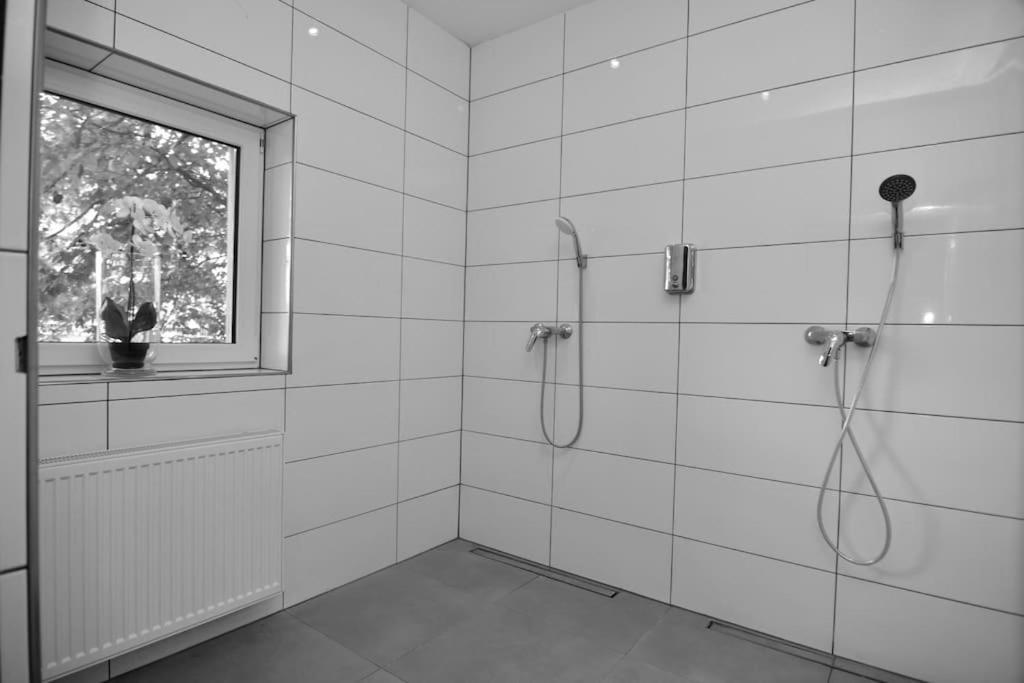 Fetischhaus Sm Apartment/Ferienwohnung ヴィースバーデン エクステリア 写真